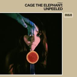 Album cover art