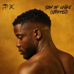 Album cover art