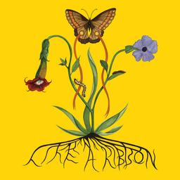 Album cover art