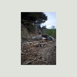 Album cover art