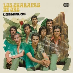 Album cover art